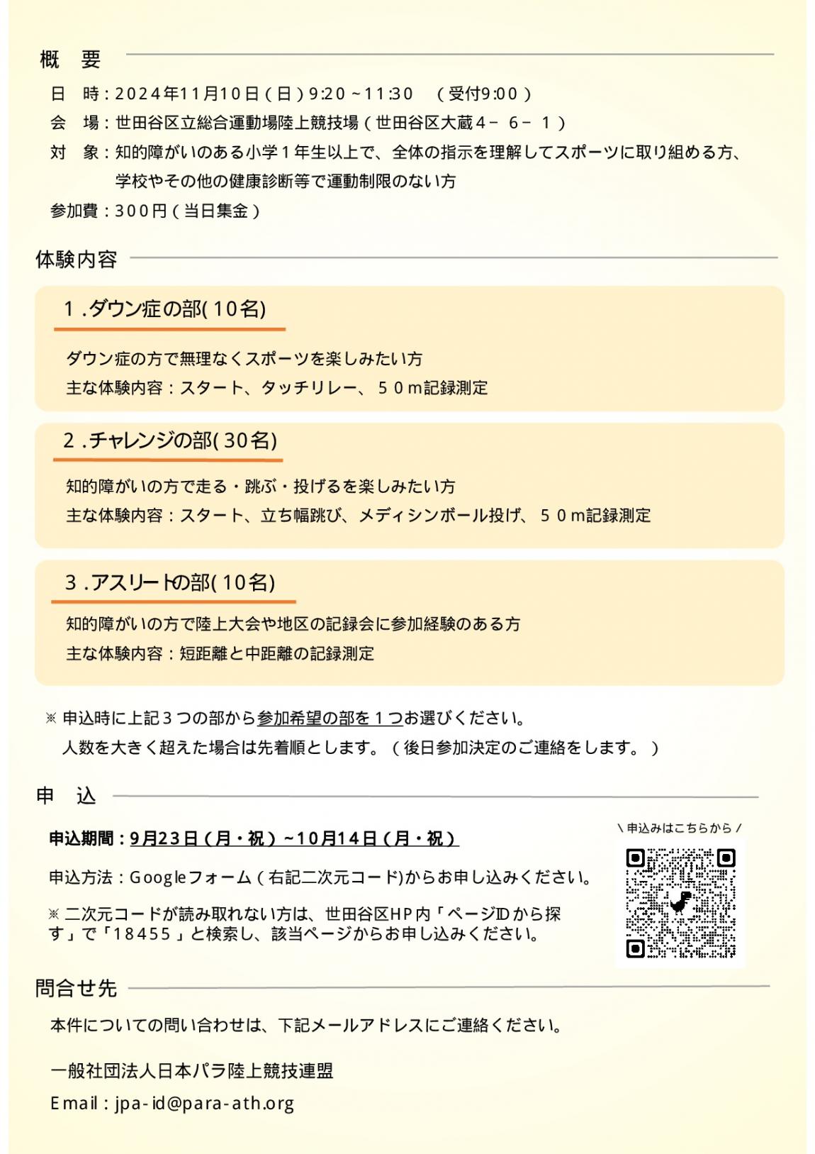 チラシ裏面