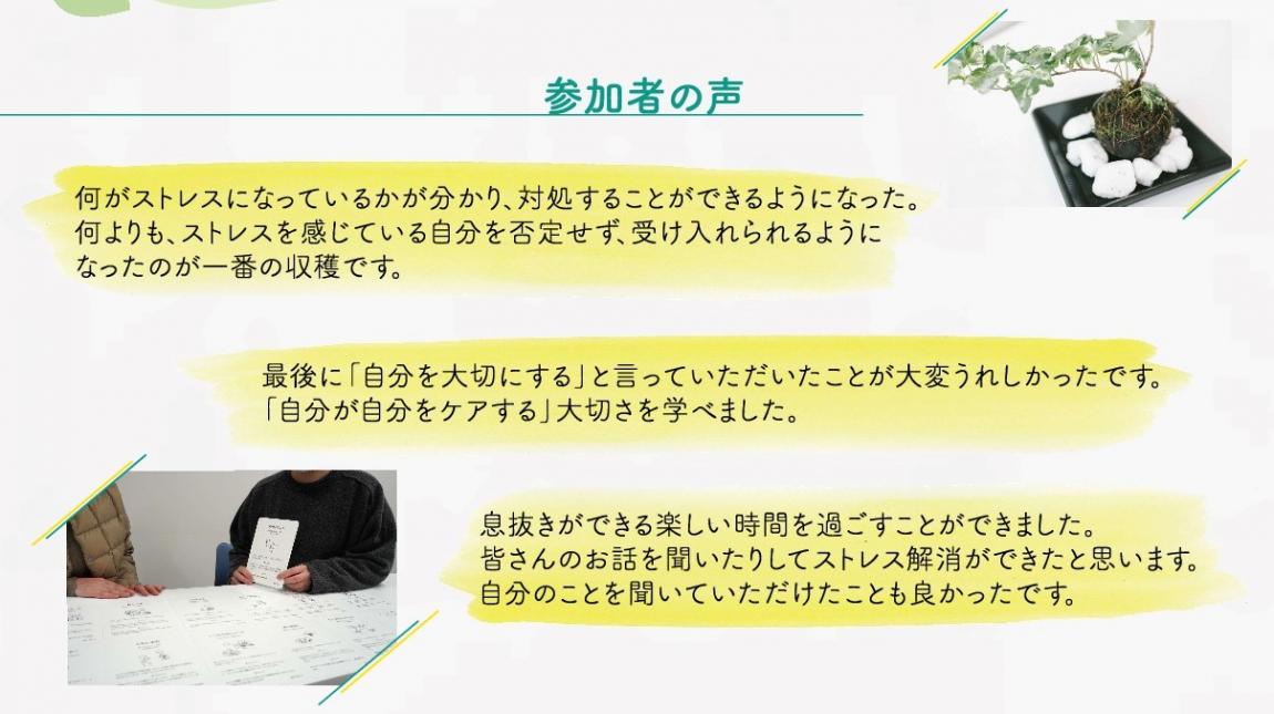 参加者の声