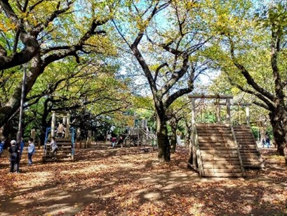 あそもり大蔵運動公園アスレチック広場