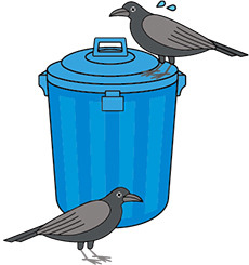 ごみ容器とカラスのイラスト