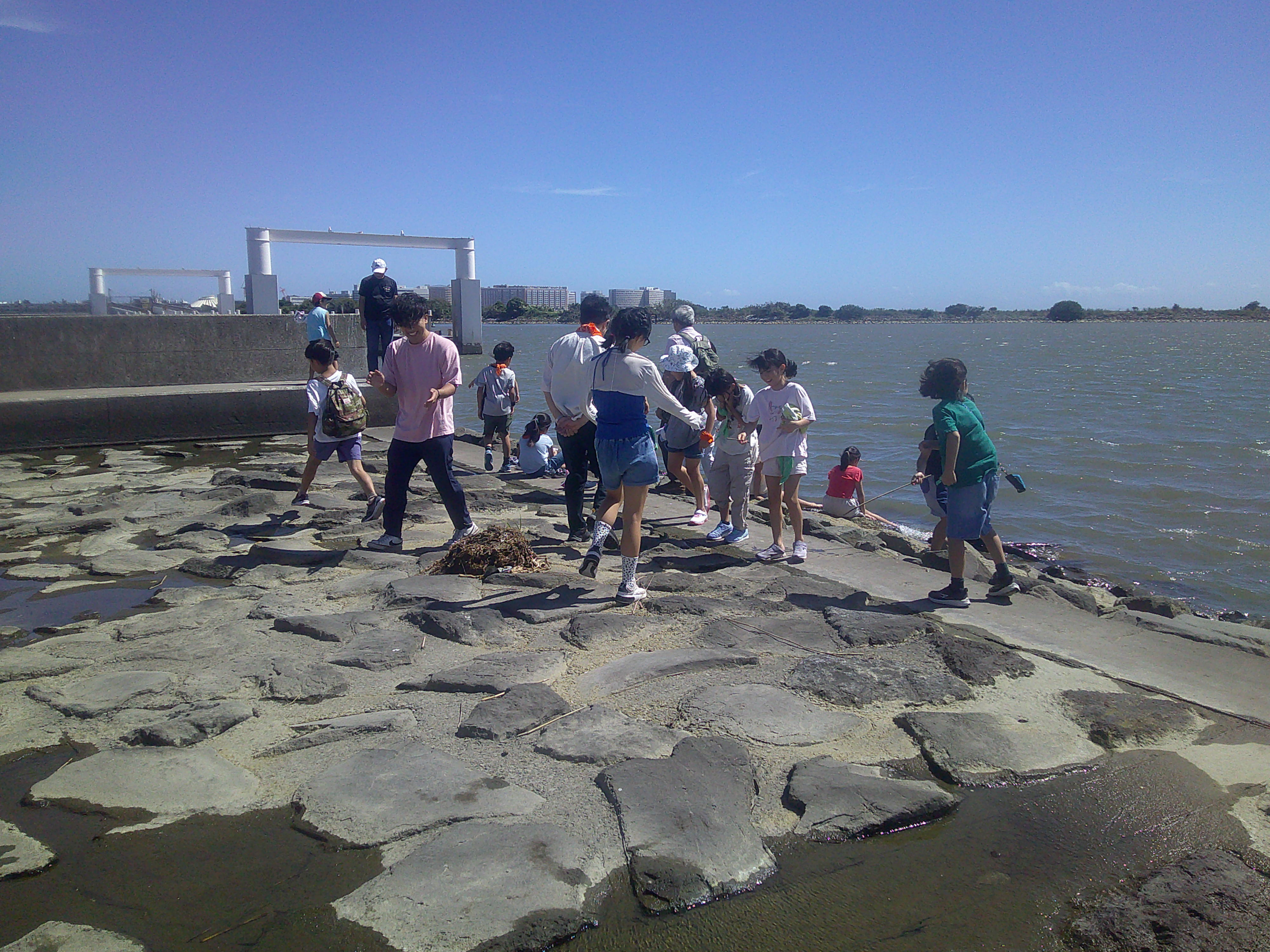 葛西臨海公園（水辺）