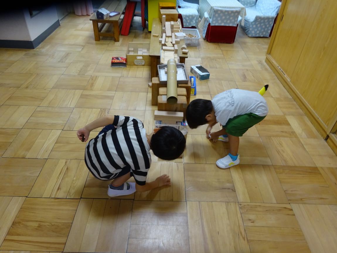 どんぐり転がるかな