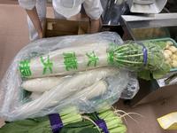 大蔵大根が届きました