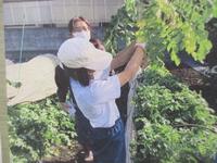 過去の農業体験の様子