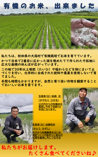 生産者情報（世田給）