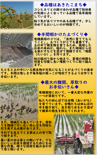 生産者情報（世田給2）