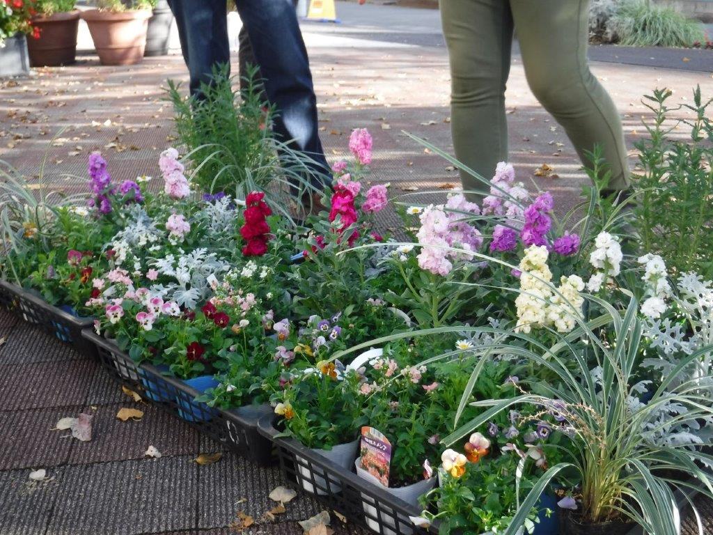 理想の屋上花壇づくり