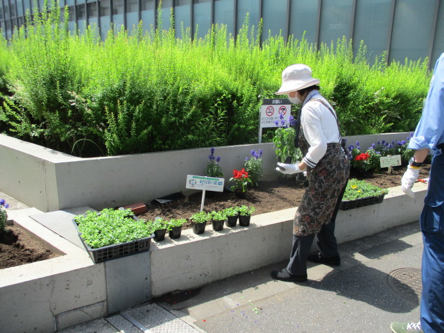 駅前植替え中