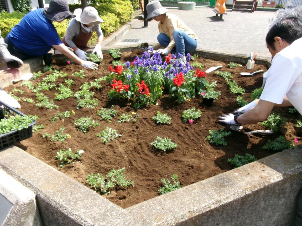 公園植え替え2