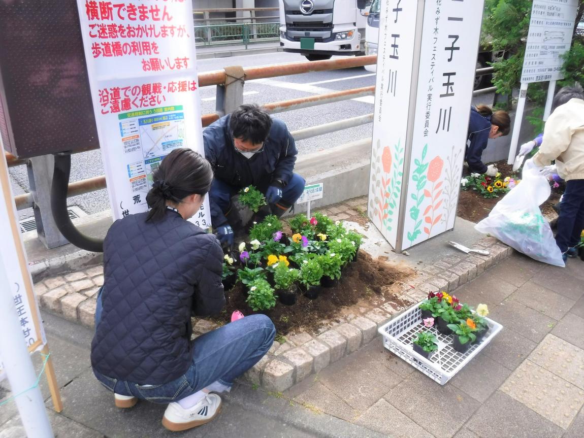 花の植え替えの様子2