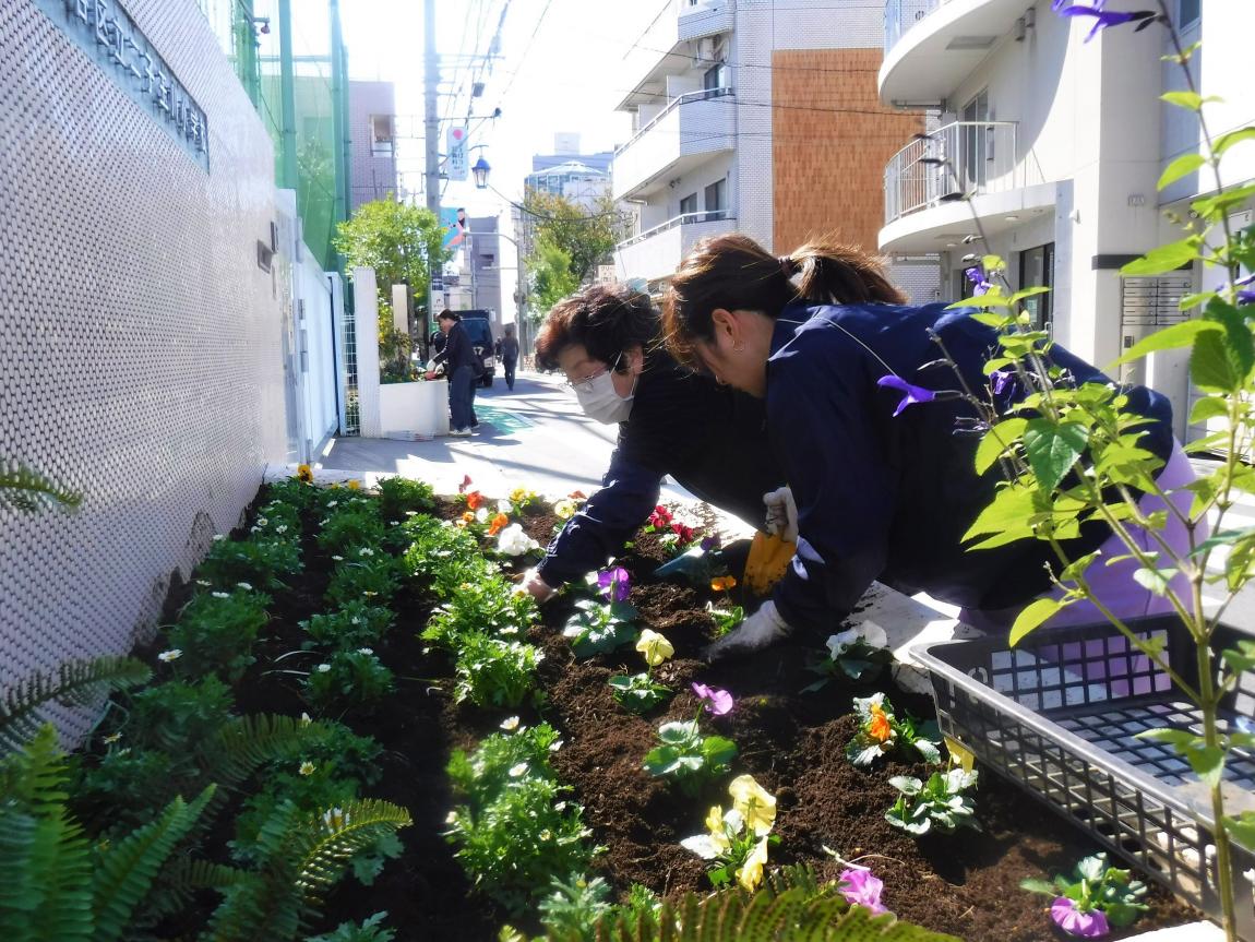 花の植え替えの様子3