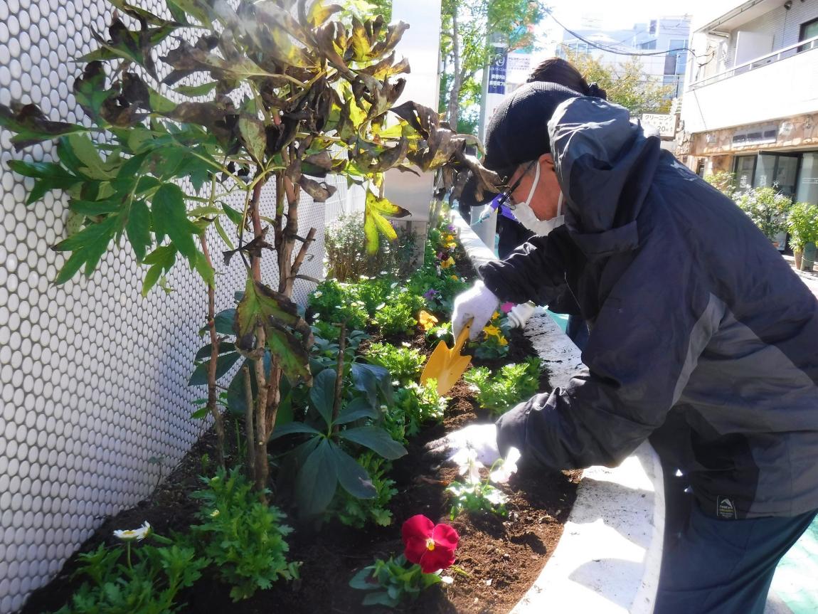 花の植え替えの様子4