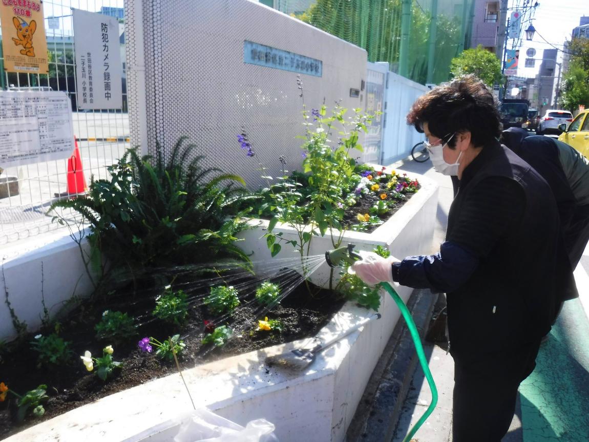 水やりの様子