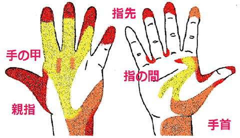 手の汚れが残りやすいところを示すイラスト