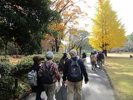 北の丸公園内を歩く参加者