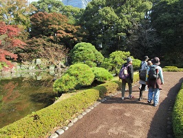 皇居東御苑の庭園を歩く参加者