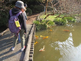 皇居東御苑の鯉と参加者