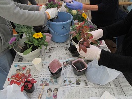 寄せ植え制作の様子
