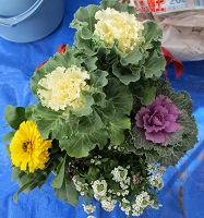 参加者の寄せ植え作品