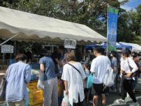 模擬店