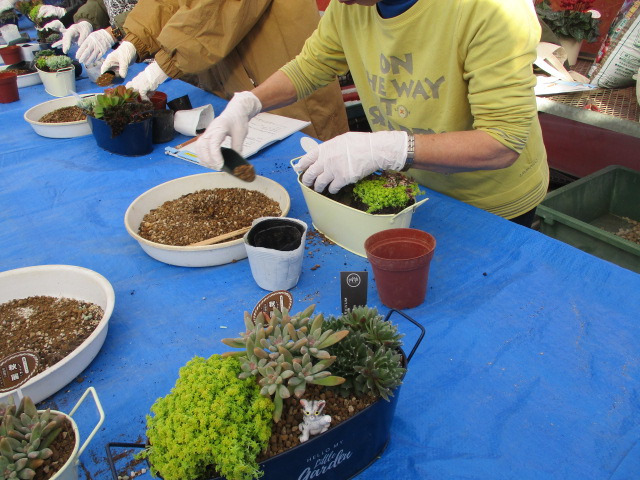 植え込みを行っている様子1