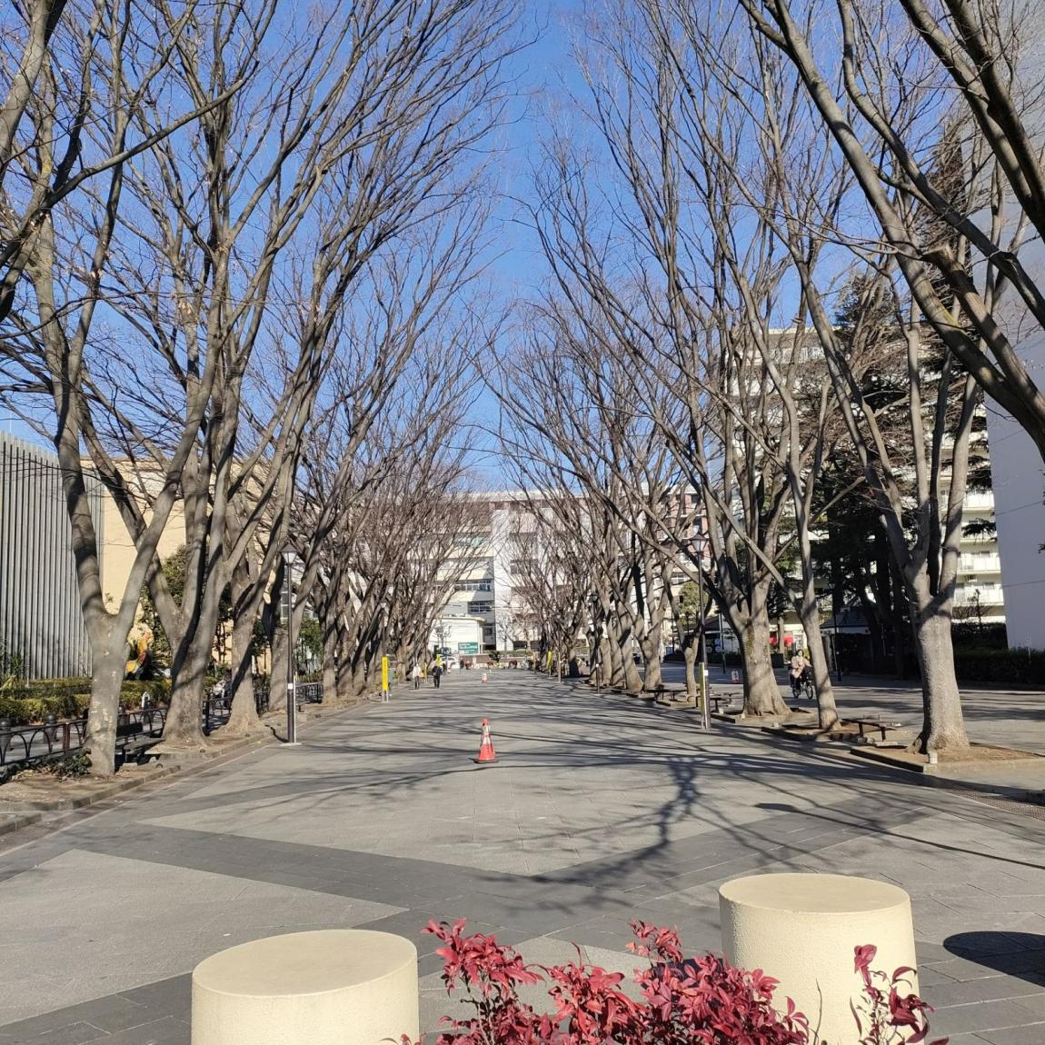 atarasiikeyakihiroba