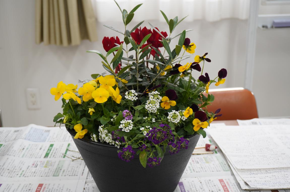素敵な寄せ植えが完成しました