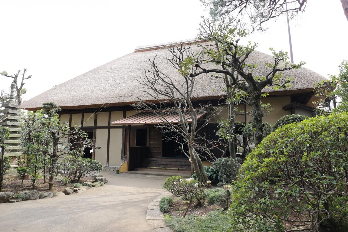 見学している様子