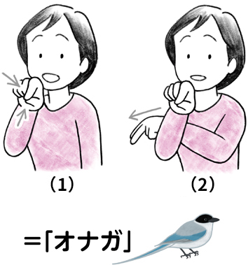「オナガ」を表現する手話のイラスト