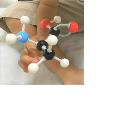 身近な分子の模型で遊ぼう！（in東京農業大学）
