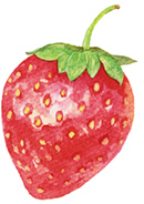 いちごのイラスト