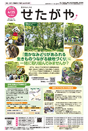 4月25日号の表紙