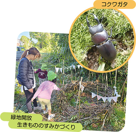 緑地開放 生きもののすみかづくりとコクワガタの写真