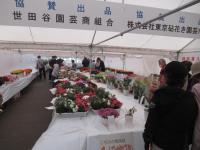一般観覧の様子