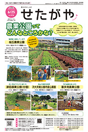 6月25日号の表紙