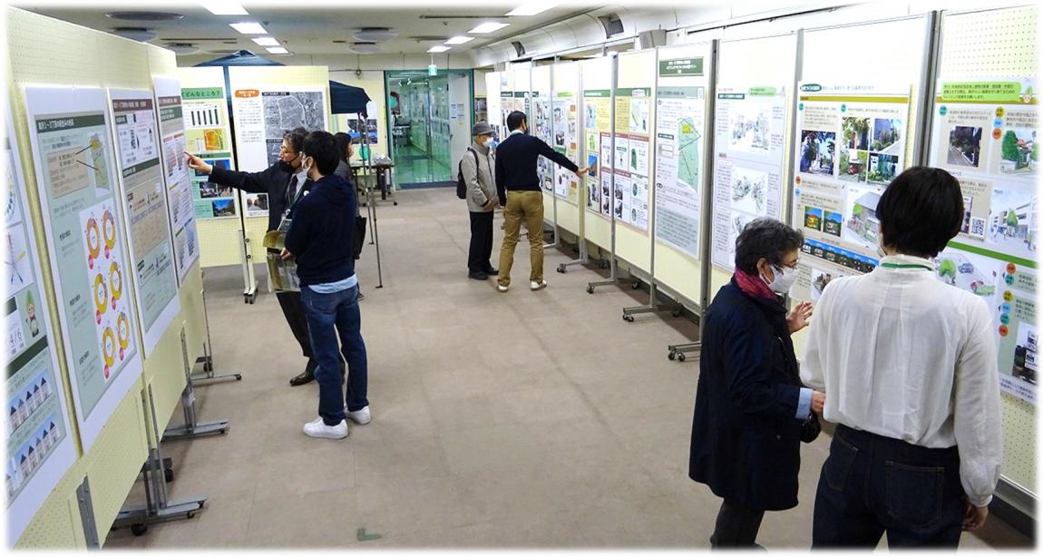 素案展示