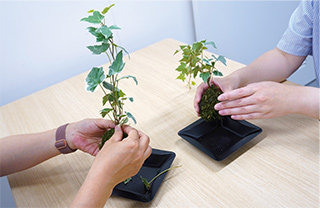前回開催時の様子（植物の力を借りる園芸療養）の写真