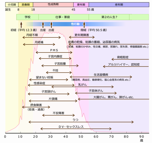 女性ホルモンの増減グラフ（2）