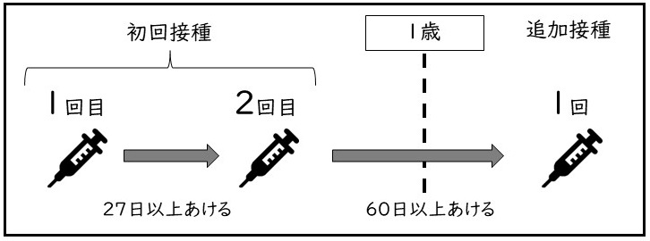 接種開始が生後7か月～1歳の場合のスケジュール