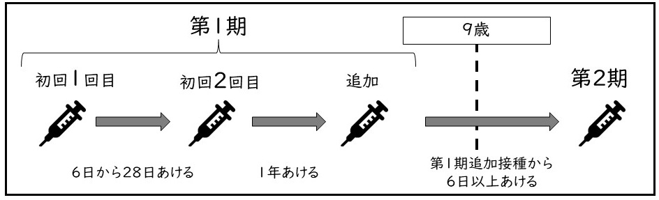 日本脳炎の予防接種のスケジュール