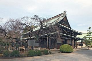 豪徳寺仏殿
