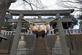 代田八幡神社見上げ