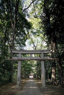 喜多見氷川神社石鳥居正面全体と参道