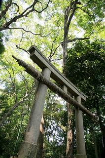 喜多見氷川神社石鳥居見上げ