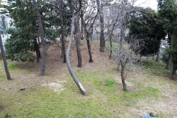 砧中4号