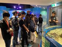 Dolphin Discovery Centre見学の写真