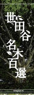 世田谷名木百選