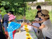 かき氷屋台