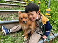 犬