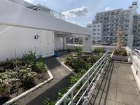1号棟屋上植栽